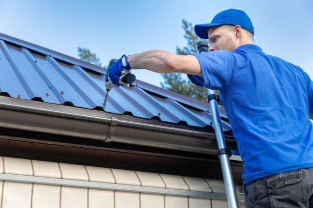 Best Solar Panel Roofing Installation  in Limon, CO