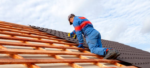 Best Roof Maintenance and Cleaning  in Limon, CO